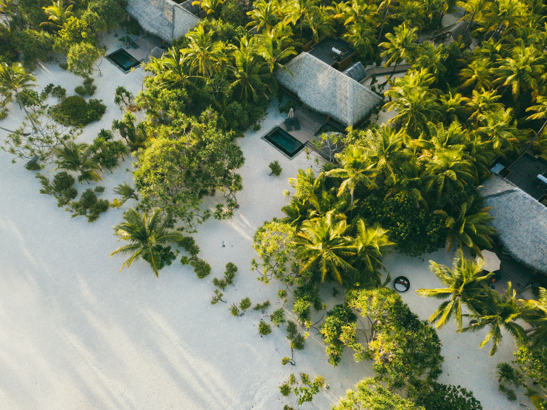 BOBY-DJI_0016.jpg
